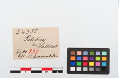 Etiketten zu Perlenkette (NHMW-PRAE-024355)